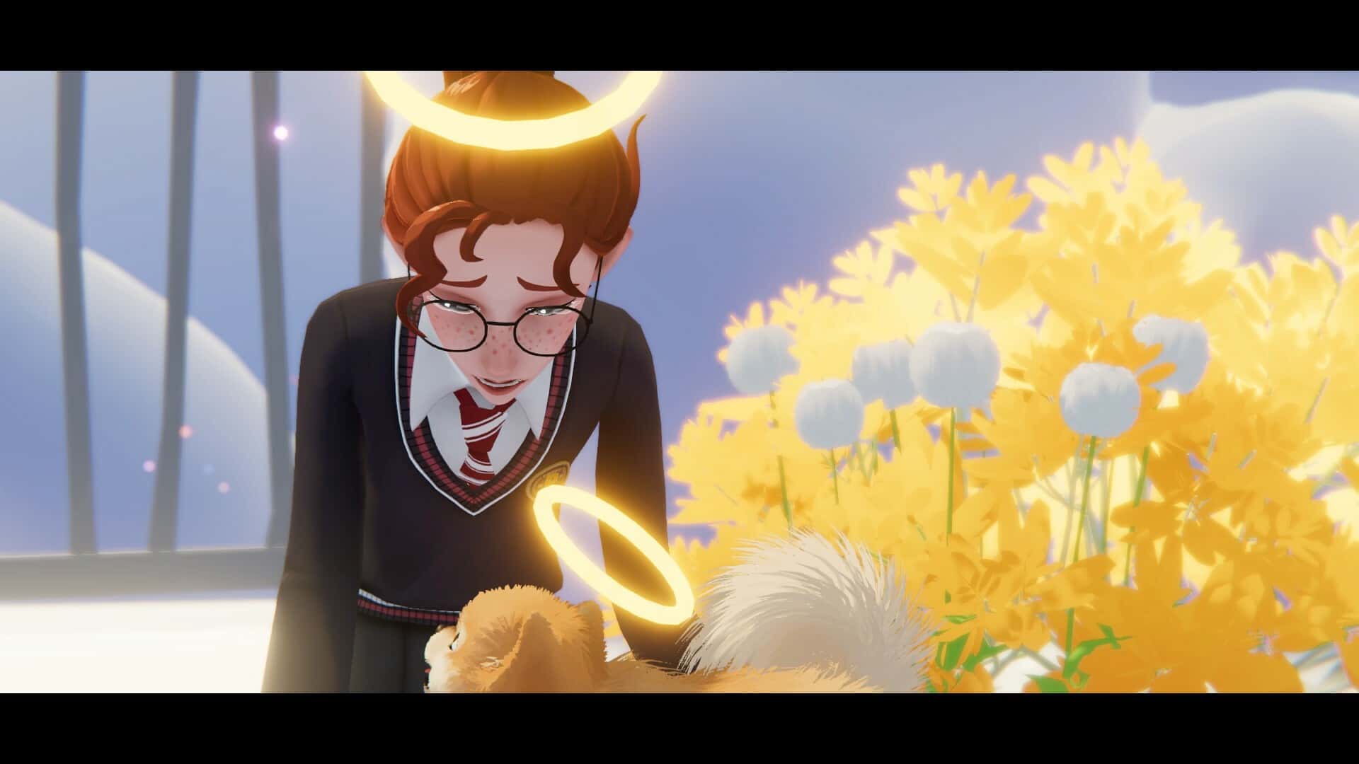 我的小柯基 My Little Puppy