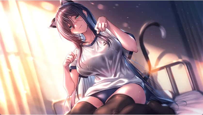 视觉数据2